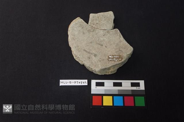 陶片藏品圖，第2張