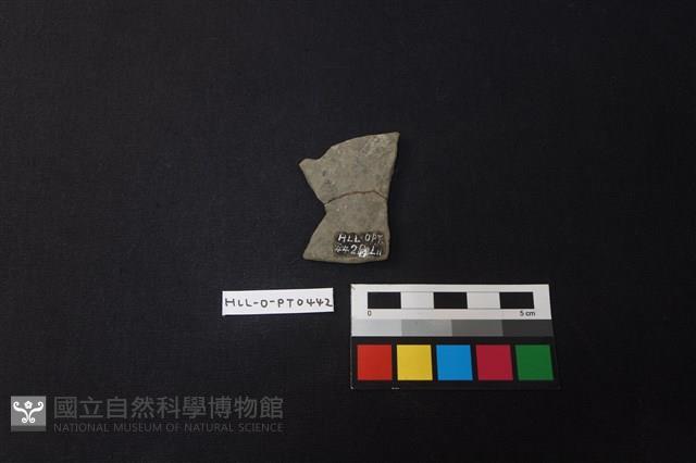 陶片藏品圖，第2張