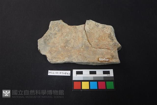 陶片藏品圖，第2張