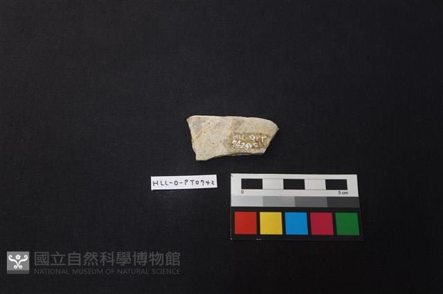 陶片藏品圖，第2張