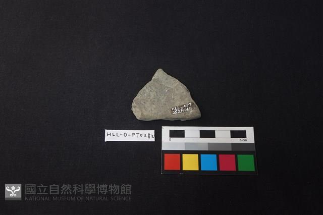 陶片藏品圖，第2張