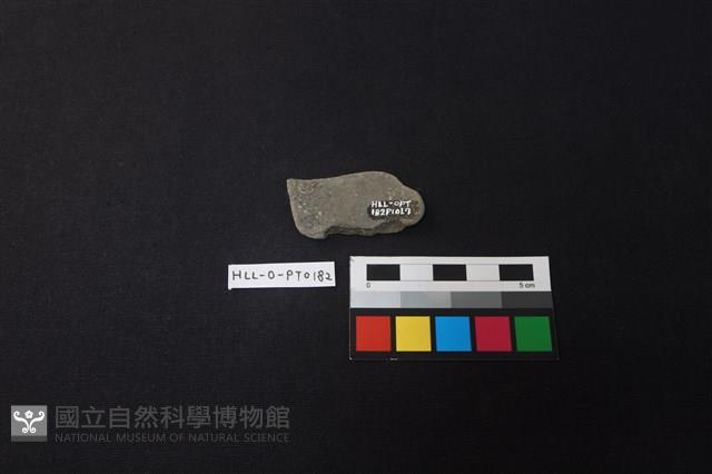 陶片藏品圖，第2張