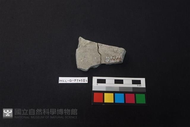 陶片藏品圖，第2張