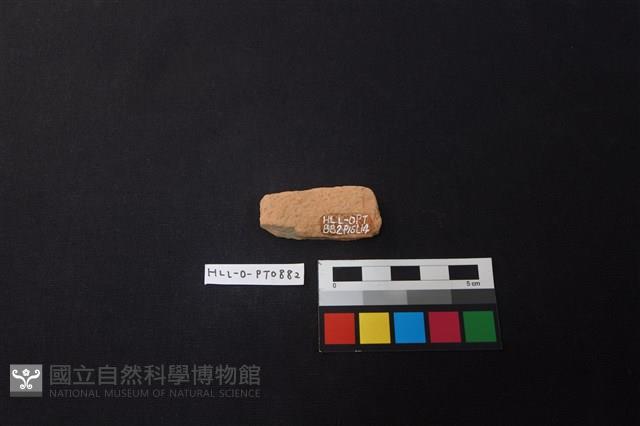 陶片藏品圖，第2張