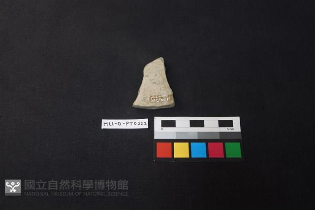 陶片藏品圖，第2張