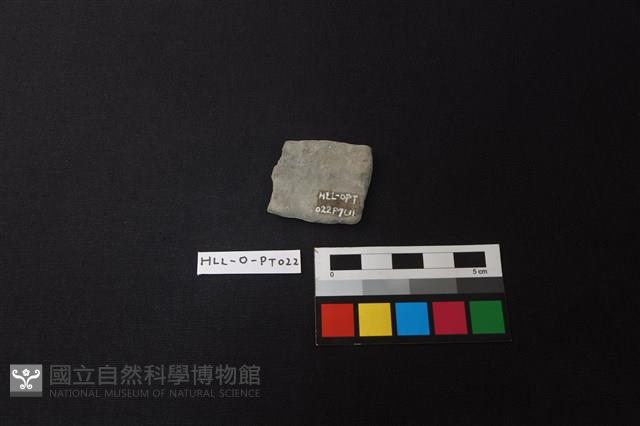 陶片藏品圖，第2張