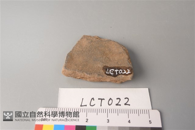 陶片藏品圖，第2張