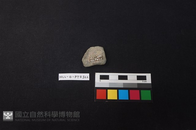 陶片藏品圖，第2張