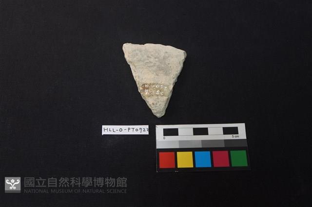 陶片藏品圖，第2張