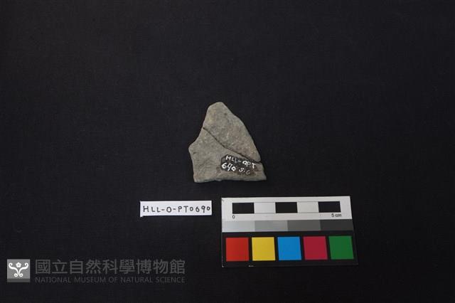 陶片藏品圖，第2張