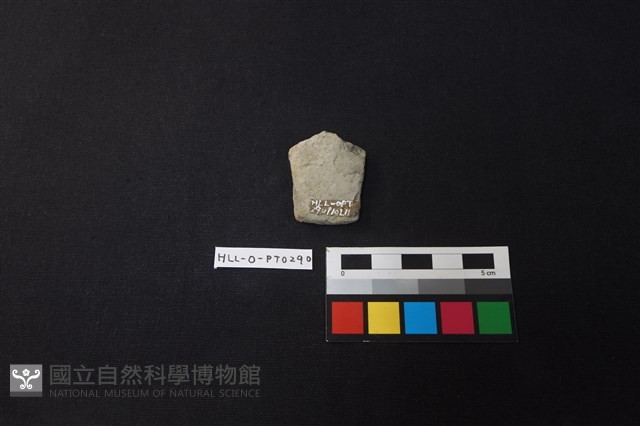 陶片藏品圖，第2張