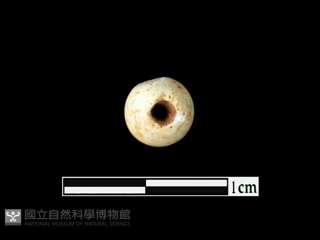 玻璃珠藏品圖，第2張