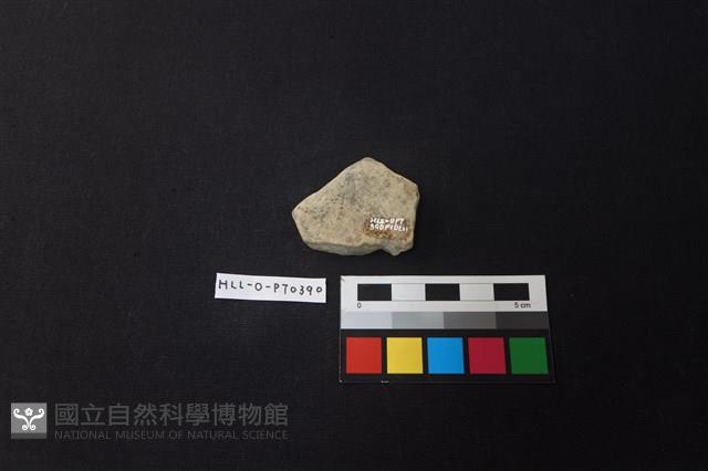 陶片藏品圖，第2張