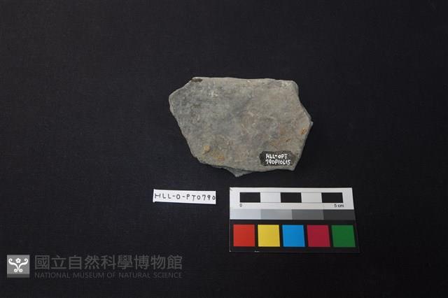 陶片藏品圖，第2張