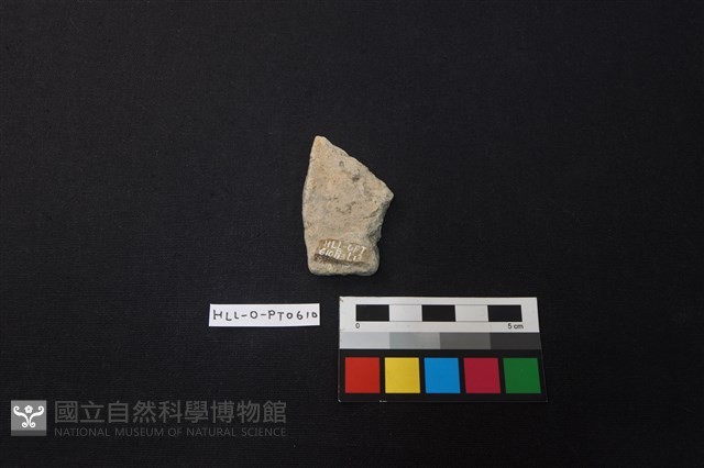 陶片藏品圖，第2張