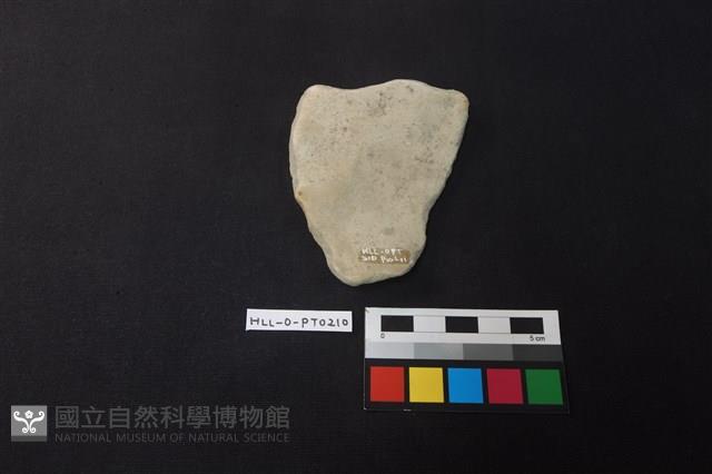 陶片藏品圖，第2張