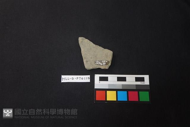 陶片藏品圖，第2張