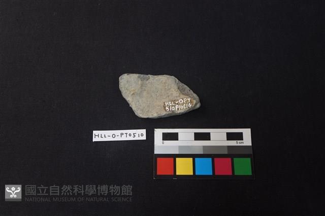 陶片藏品圖，第2張