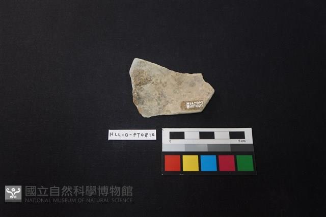 陶片藏品圖，第2張