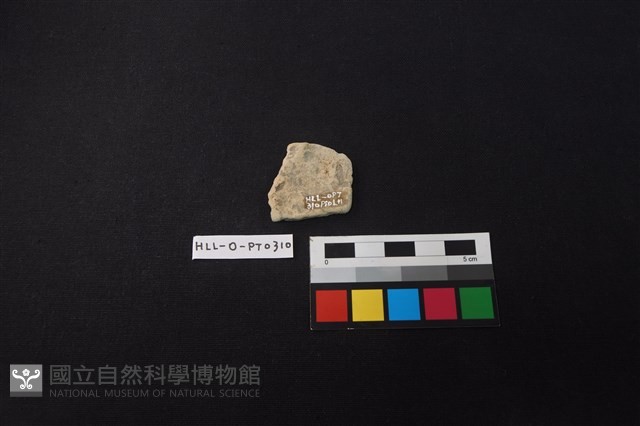 陶片藏品圖，第2張