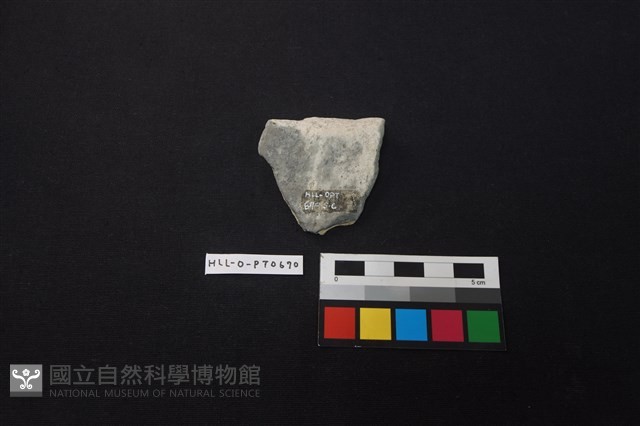 陶片藏品圖，第2張