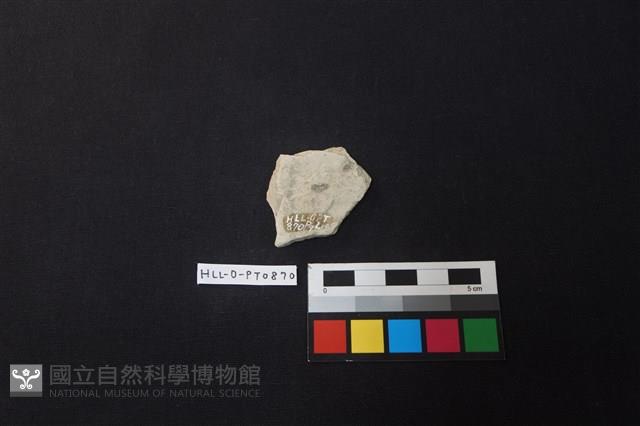 陶片藏品圖，第2張