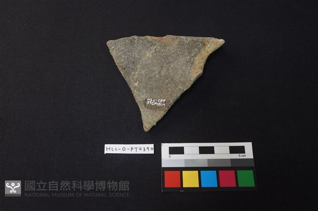陶片藏品圖，第2張