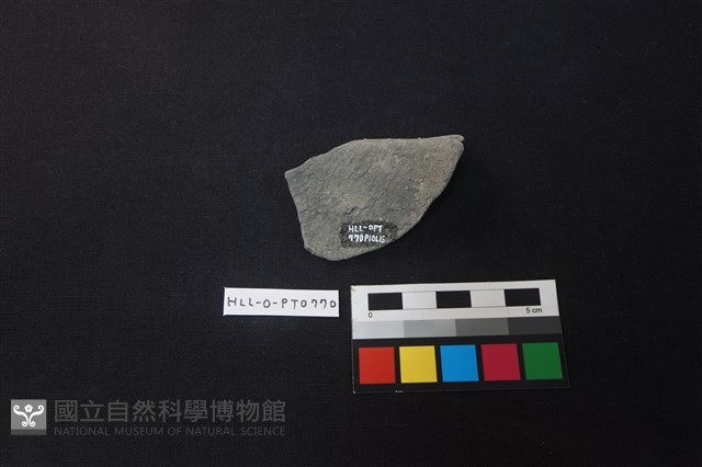 陶片藏品圖，第2張