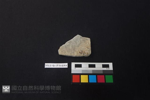 陶片藏品圖，第2張