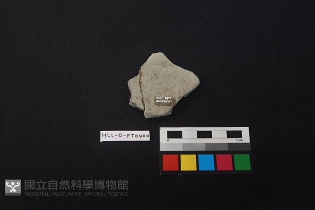 陶片藏品圖，第2張