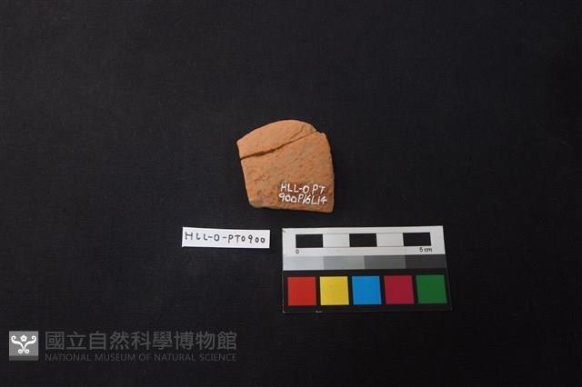 陶片藏品圖，第2張