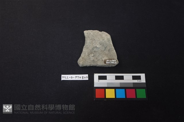 陶片藏品圖，第2張