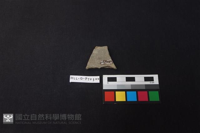 陶片藏品圖，第2張