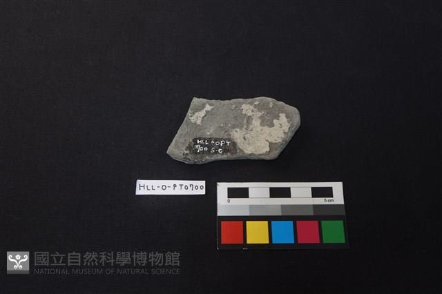 陶片藏品圖，第2張