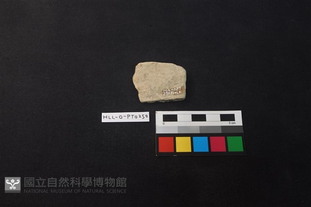 陶片藏品圖，第2張