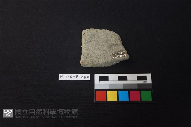 陶片藏品圖，第2張