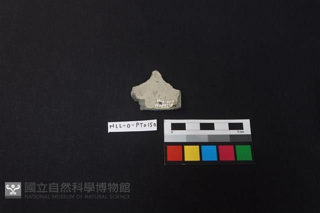 陶片藏品圖，第2張