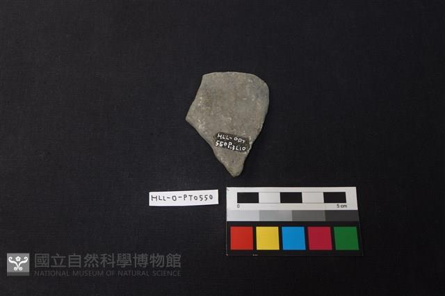 陶片藏品圖，第2張