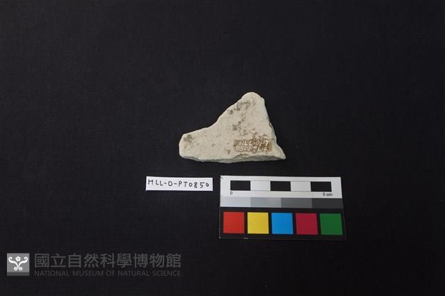 陶片藏品圖，第2張