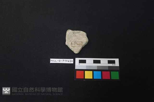 陶片藏品圖，第2張