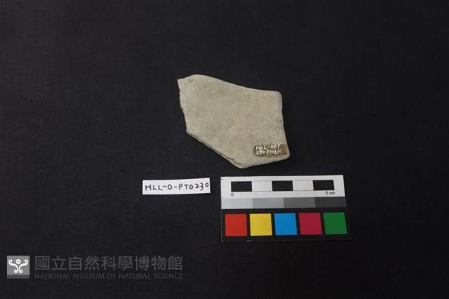 陶片藏品圖，第2張