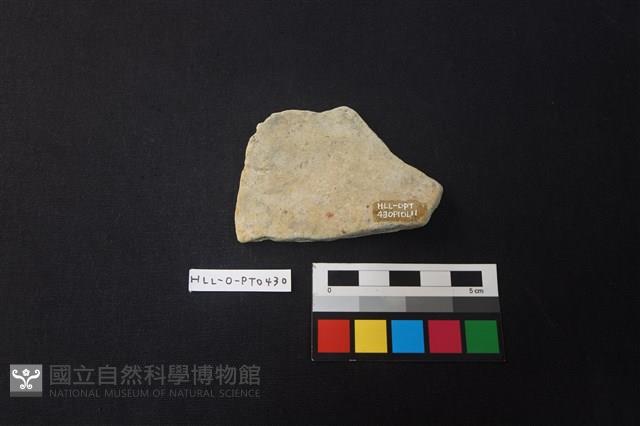 陶片藏品圖，第2張