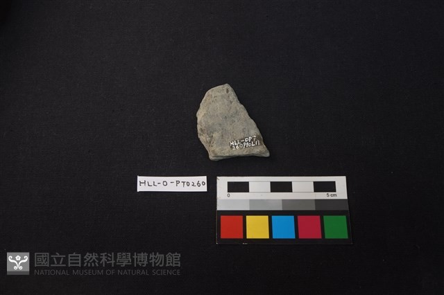 陶片藏品圖，第2張