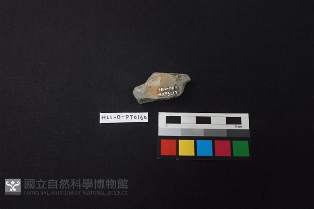 陶片藏品圖，第2張