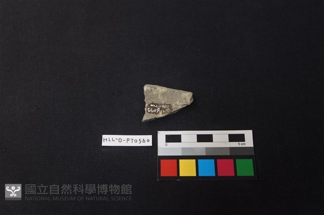 陶片藏品圖，第2張