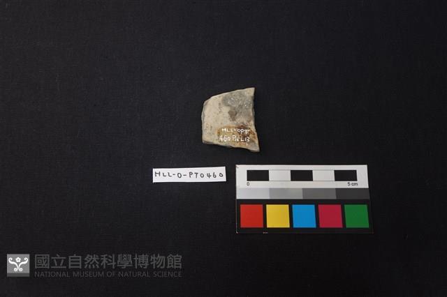 陶片藏品圖，第2張