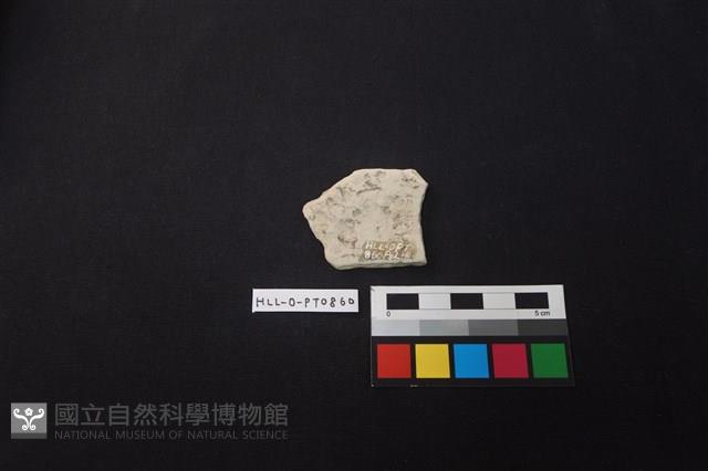 陶片藏品圖，第2張