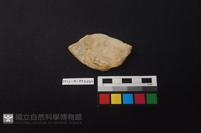 陶片藏品圖，第2張