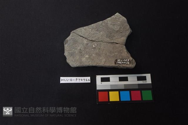 陶片藏品圖，第2張