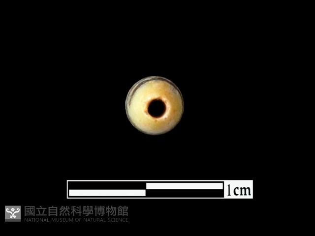 玻璃珠藏品圖，第2張